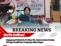 Kejagung RI Diminta Periksa PD. Aneka Usaha Kolaka di Duga Fasilitator Penjualan Nikel Ilegal.