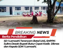 SD 1 Lamoahi Terancam Batal UAS, SMPPK-Sultra Desak Bupati Butur Copot Kadis  Diknas dan Kepala SDN 1 Lamoahi.