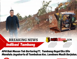 APH Bak Macan Tak Bertaring??, Dugaan Tambang Ilegal di Eks Site Mandala Jayakarta Desa Tambakua Kec.Landawe Terus Beroperasi.