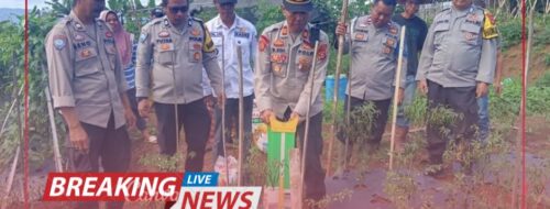 Dukung Swasembada Pangan, Polsek Semendo Ikuti Penanaman Jagung Bagi Masyarakat