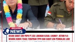 Desak Cabut Izin PBPH PT.CSS Lakukan Ilegal Loging?, Ketum PJI : Negara Harus Tegas Terapkan TPPU dan Cabut Izin Pembalak Liar!