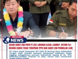 Desak Cabut Izin PBPH PT.CSS Lakukan Ilegal Loging?, Ketum PJI : Negara Harus Tegas Terapkan TPPU dan Cabut Izin Pembalak Liar!