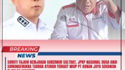 Soroti Tajam Kebijakan Gubernur Sultra!!, JPKP Nasional Duga Andi Sumangerukka Tabrak Aturan Terkait WIUP PT Adnan Jaya Sekawan di Pulau Wawonii.